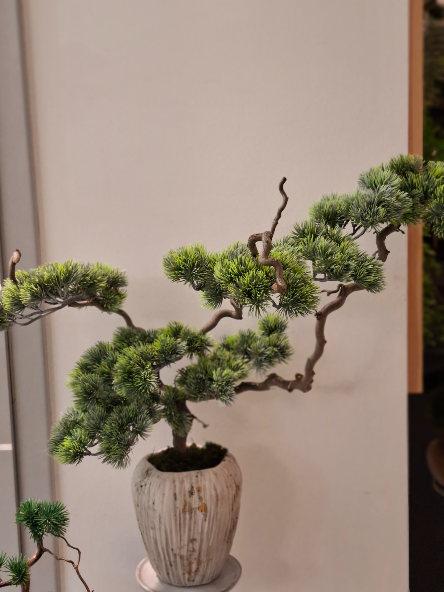 Élethű Bonsai Műfa – Prémium Dekoráció Valódi Fatörzzsel.  Asztali bonsai 69 000.-Készleten