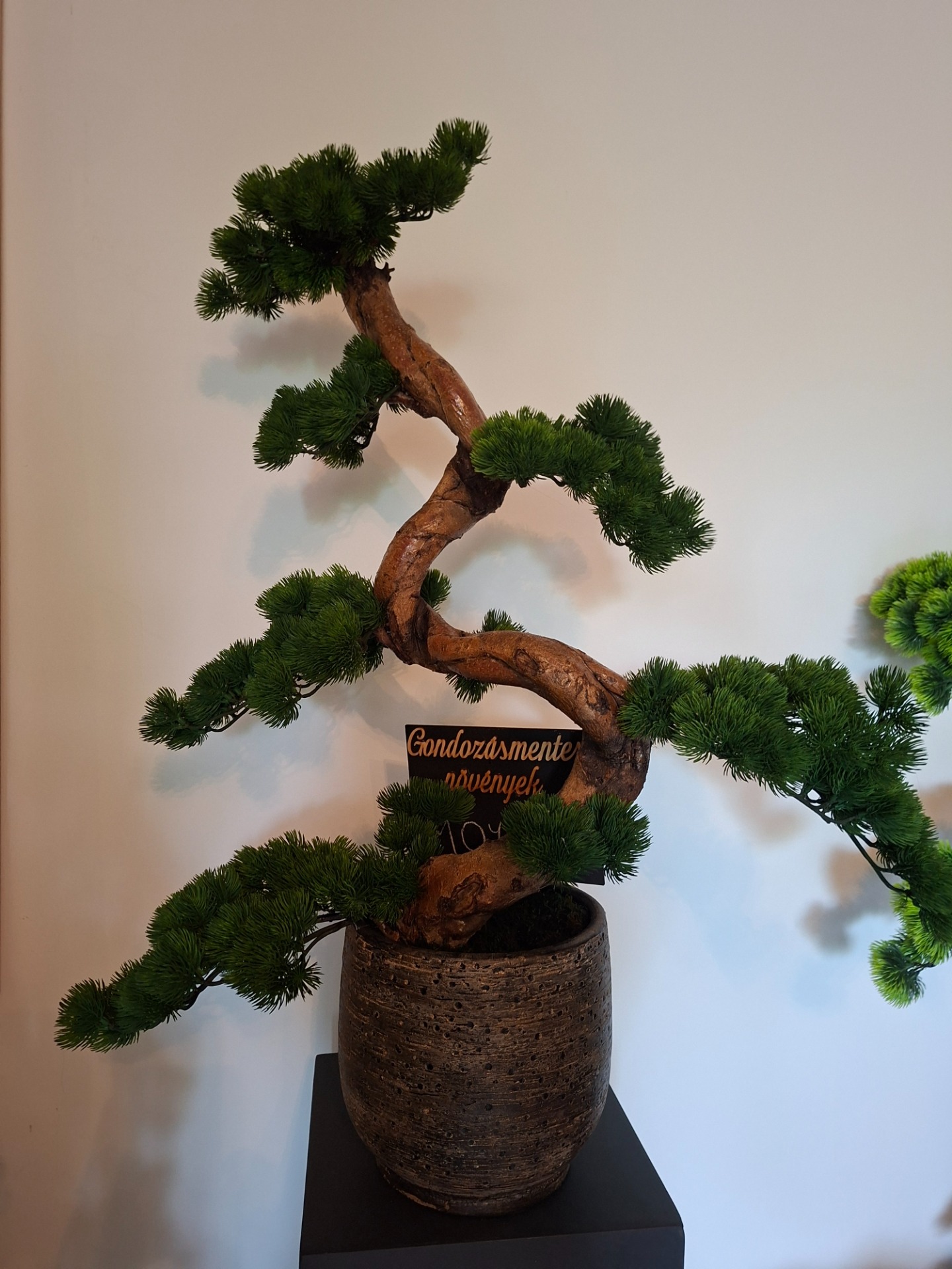 Élethű Bonsai Műfa – Prémium Dekoráció Valódi Fatörzzsel.   Bronz kaspós Moyogi bonsai 55 000.-Készleten