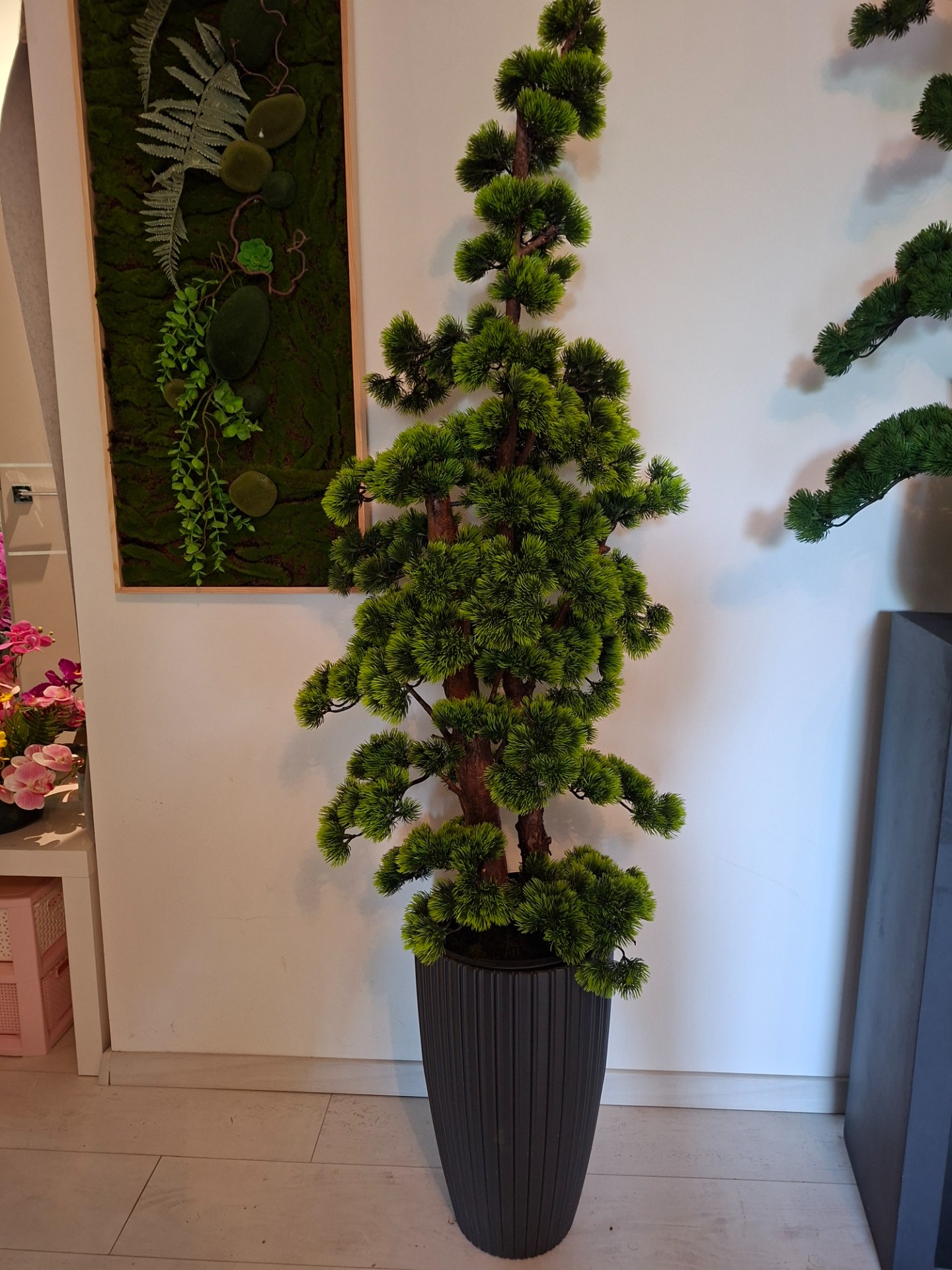 Élethű Bonsai Műfa – Prémium Dekoráció Valódi Fatörzzsel.  CHOKKAN Bonsai 120 000.-