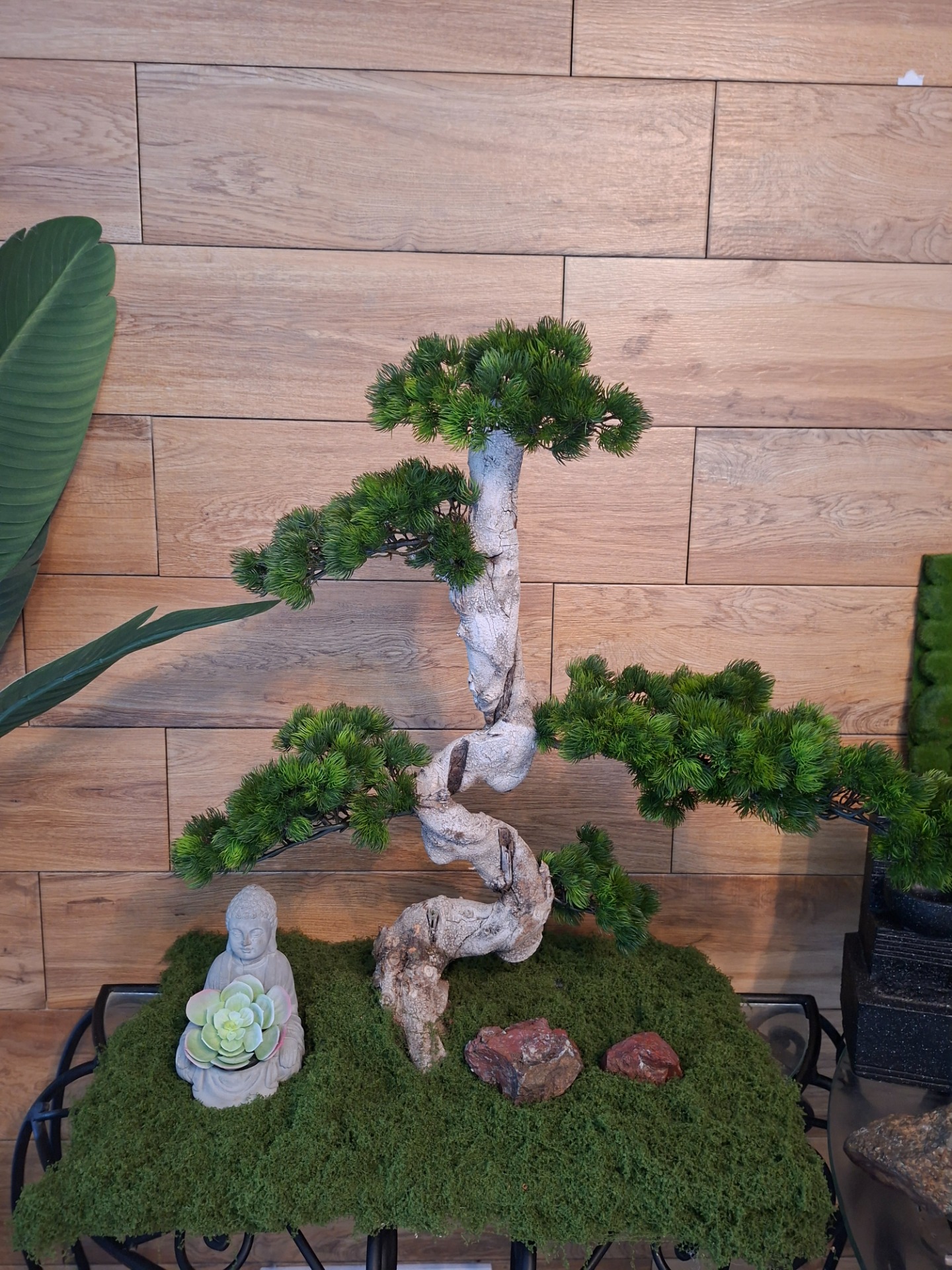 Moyogi bonsai -Készleten 95 000.-70x70 cm